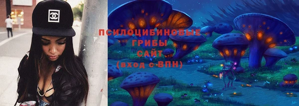 2c-b Абдулино